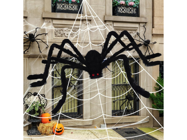 🕸️ Giant Spider Web with Hairy Spider